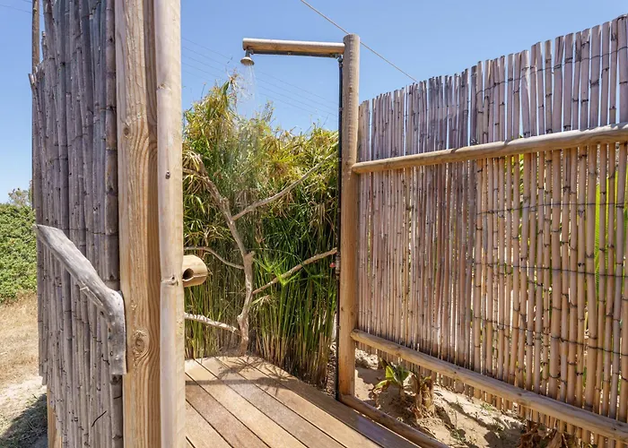 Daire Martin's House